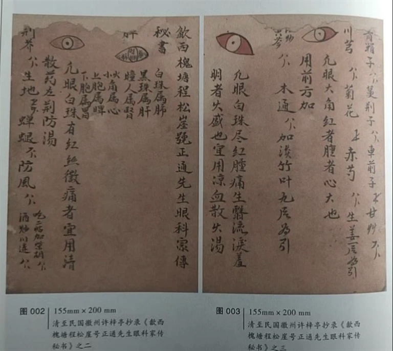 解“牍”徽州 | 第二十五期 杏林千年秀 新安一脉长